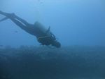 Hawaii Scuba divng 53