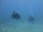 Hawaii Scuba divng 05