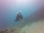 Hawaii Scuba divng 63