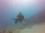 Hawaii Scuba divng 64