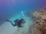 Hawaii Scuba divng 66