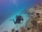 Hawaii Scuba divng 67