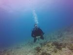 Hawaii Scuba divng 69