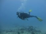 Hawaii Scuba divng 06