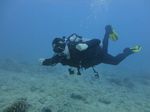 Hawaii Scuba divng 08