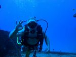 Hawaii Scuba divng 11