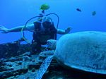 Hawaii Scuba divng 15