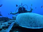 Hawaii Scuba divng 16