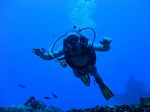 Hawaii Scuba divng 21