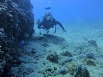 Hawaii Scuba divng 42