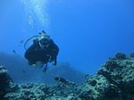 Hawaii Scuba divng 43