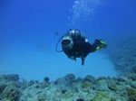 Hawaii Scuba divng 48