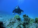 Hawaii Scuba divng 52