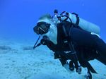 Hawaii Scuba divng 54