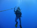 Hawaii Scuba divng 05