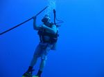 Hawaii Scuba divng 06