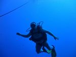 Hawaii Scuba divng 07