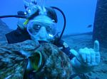 Hawaii Scuba divng 12