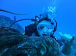 Hawaii Scuba divng 13