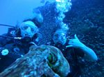 Hawaii Scuba divng 16