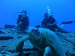 Hawaii Scuba divng 20