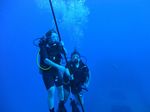 Hawaii Scuba divng 26