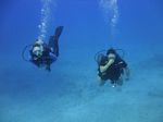 Hawaii Scuba divng 32