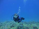 Hawaii Scuba divng 33