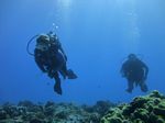 Hawaii Scuba divng 43