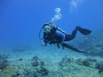 Hawaii Scuba divng 44