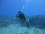 Hawaii Scuba divng 45