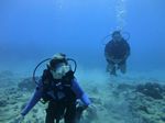 Hawaii Scuba divng 46