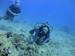 Hawaii Scuba divng 49