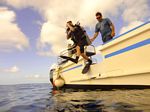 Hawaii Scuba divng 04