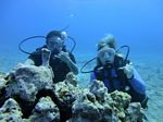 Hawaii Scuba divng 51