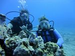 Hawaii Scuba divng 52