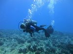 Hawaii Scuba divng 53