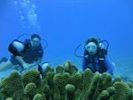 Hawaii Scuba divng 56