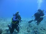 Hawaii Scuba divng 57