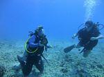 Hawaii Scuba divng 57