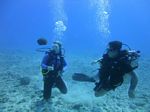 Hawaii Scuba divng 58