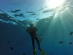 Hawaii Scuba divng 10