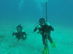 Hawaii Scuba divng 12