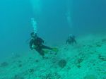 Hawaii Scuba divng 15