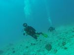 Hawaii Scuba divng 16