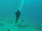 Hawaii Scuba divng 19