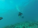 Hawaii Scuba divng 20