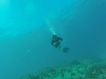 Hawaii Scuba divng 21