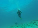 Hawaii Scuba divng 22