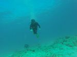 Hawaii Scuba divng 23